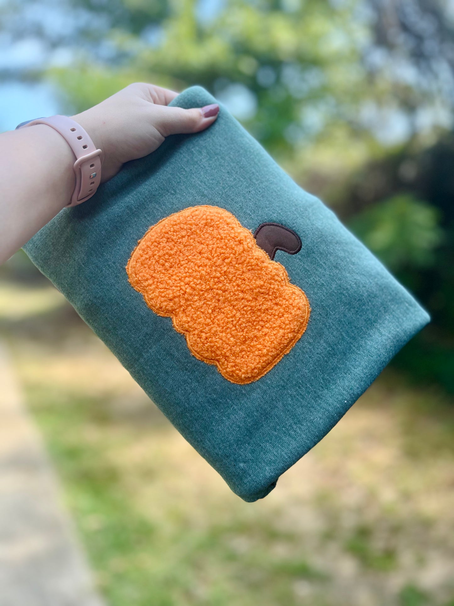 Pumpkin Textured Applique Sweatshirt