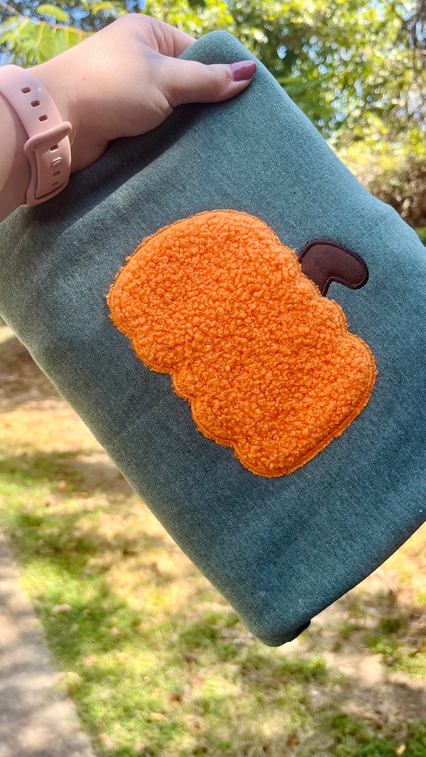 Pumpkin Textured Applique Sweatshirt