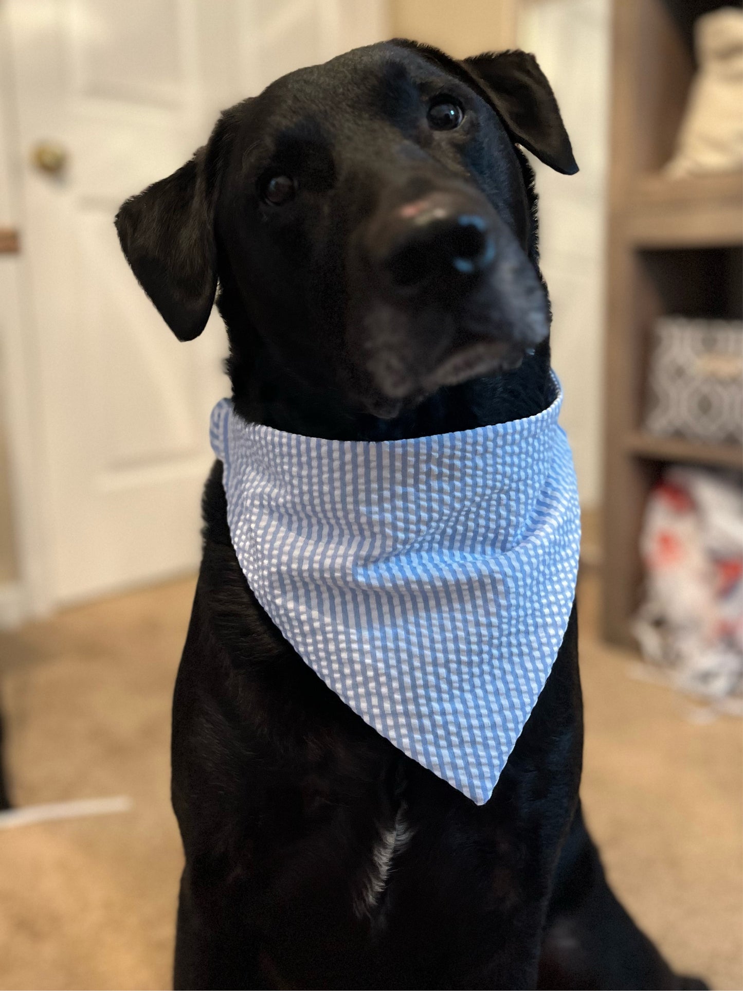 Blue and white seersucker bandana