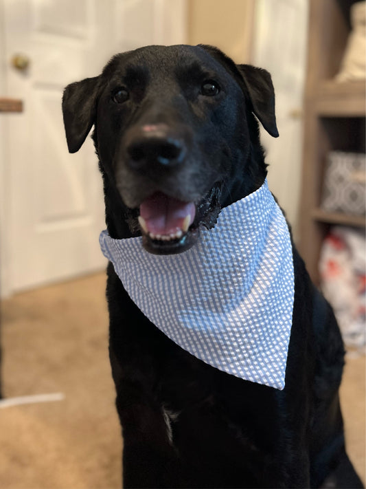 Blue and white seersucker bandana