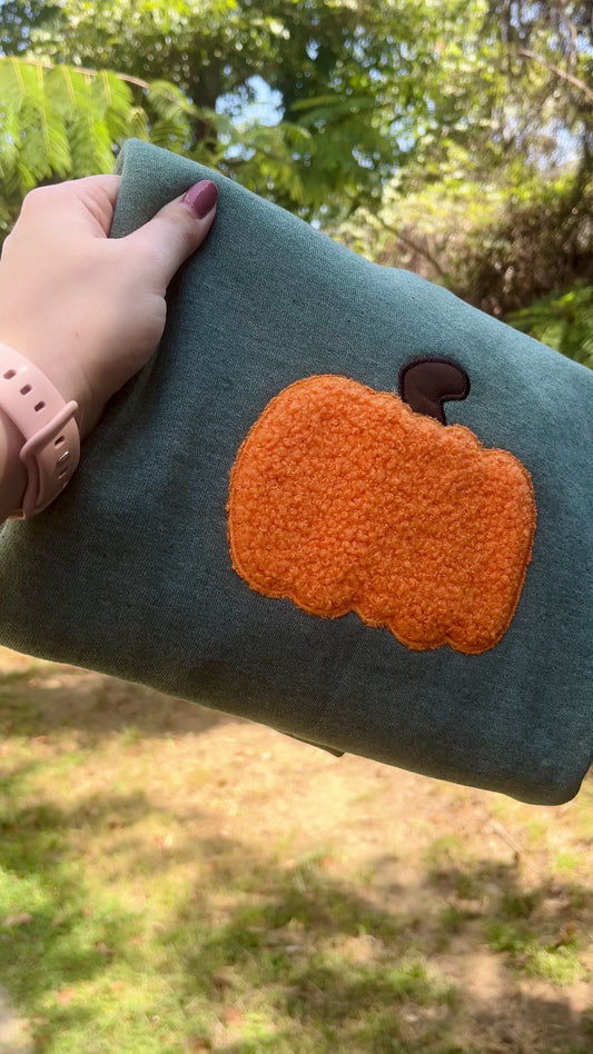 Pumpkin Textured Applique Sweatshirt