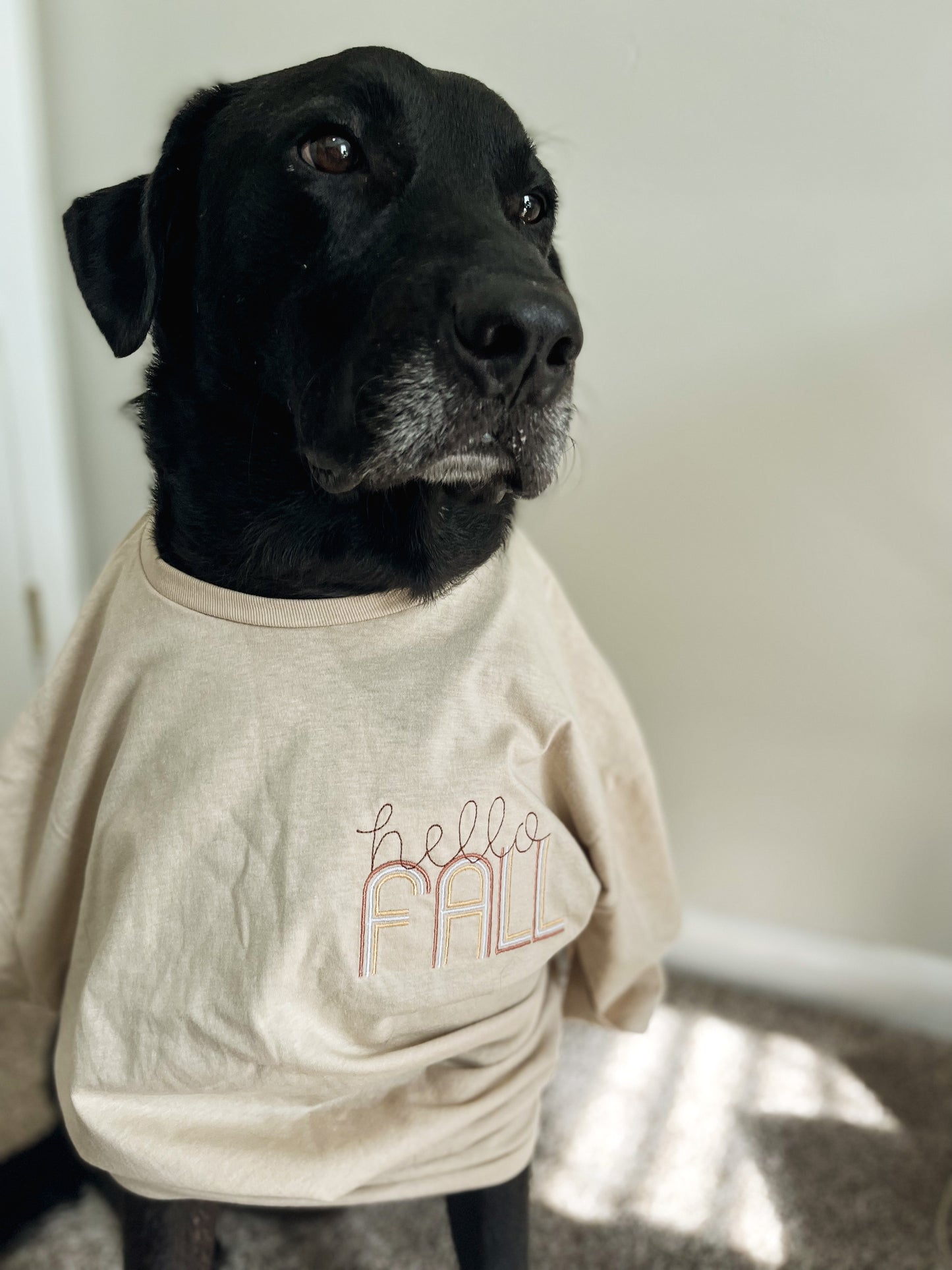 Hello Fall Embroidery T-Shirt